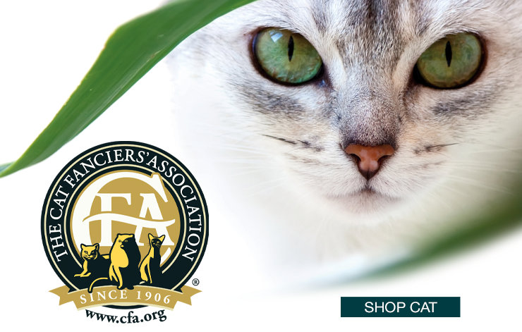 Approved by The Cat Fanciers Association