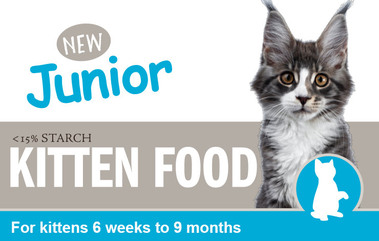 Junior Kitten Food