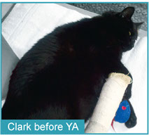 Clark before